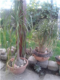 8f08d734-2015-10-01 08.31.06.jpg